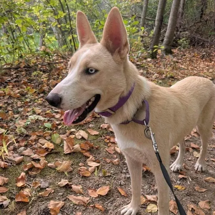 Fairbanks thumbnail 2