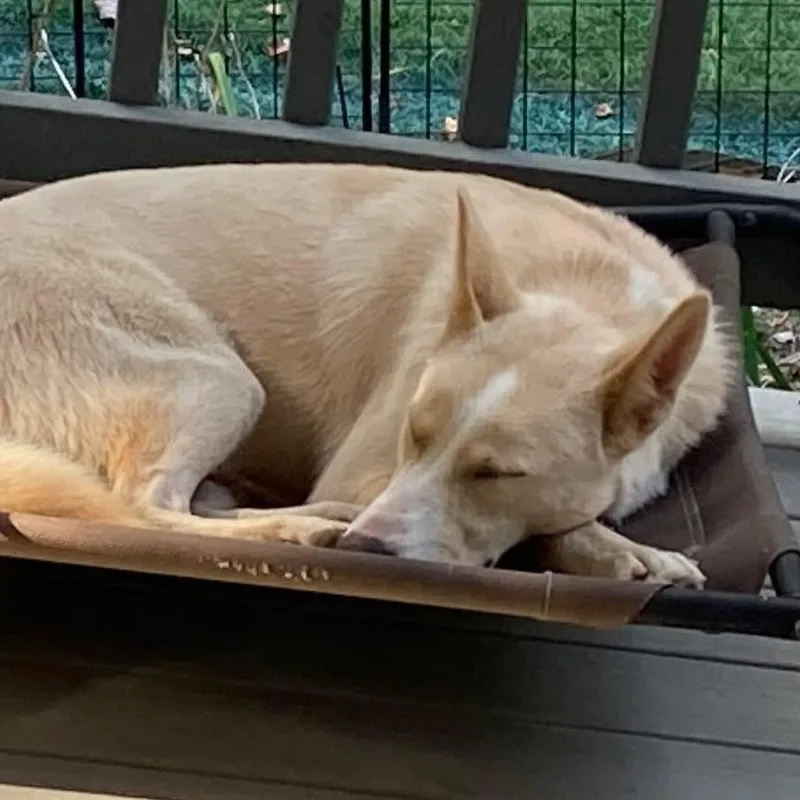 Fairbanks thumbnail 4