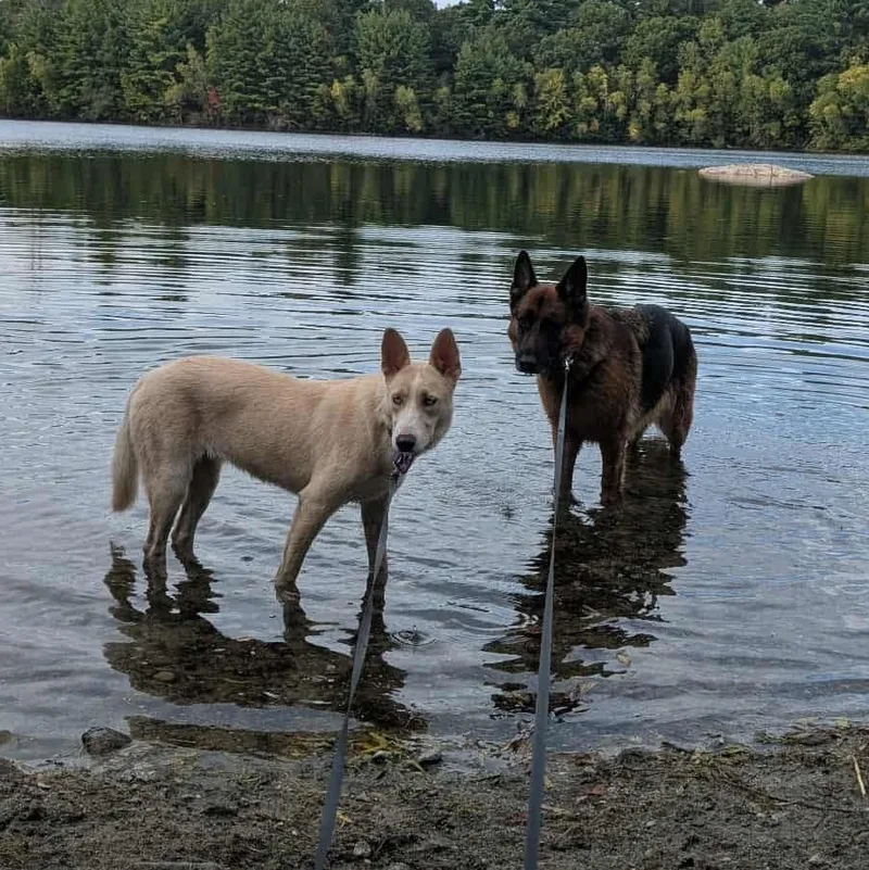 Fairbanks thumbnail 3