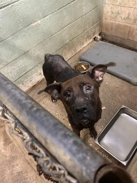 Charmain thumbnail 2