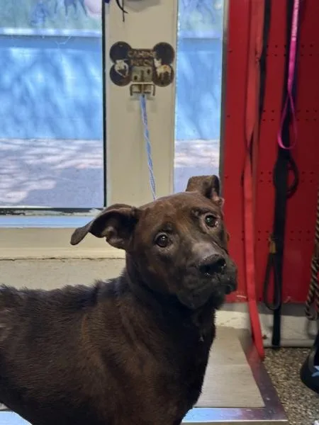 Charmain thumbnail 3