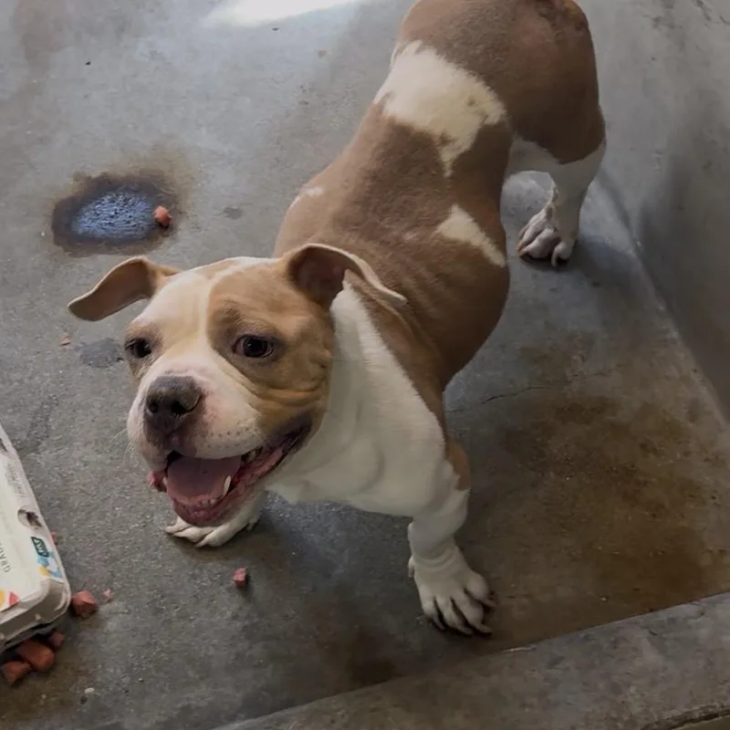 Name Unknown thumbnail 2