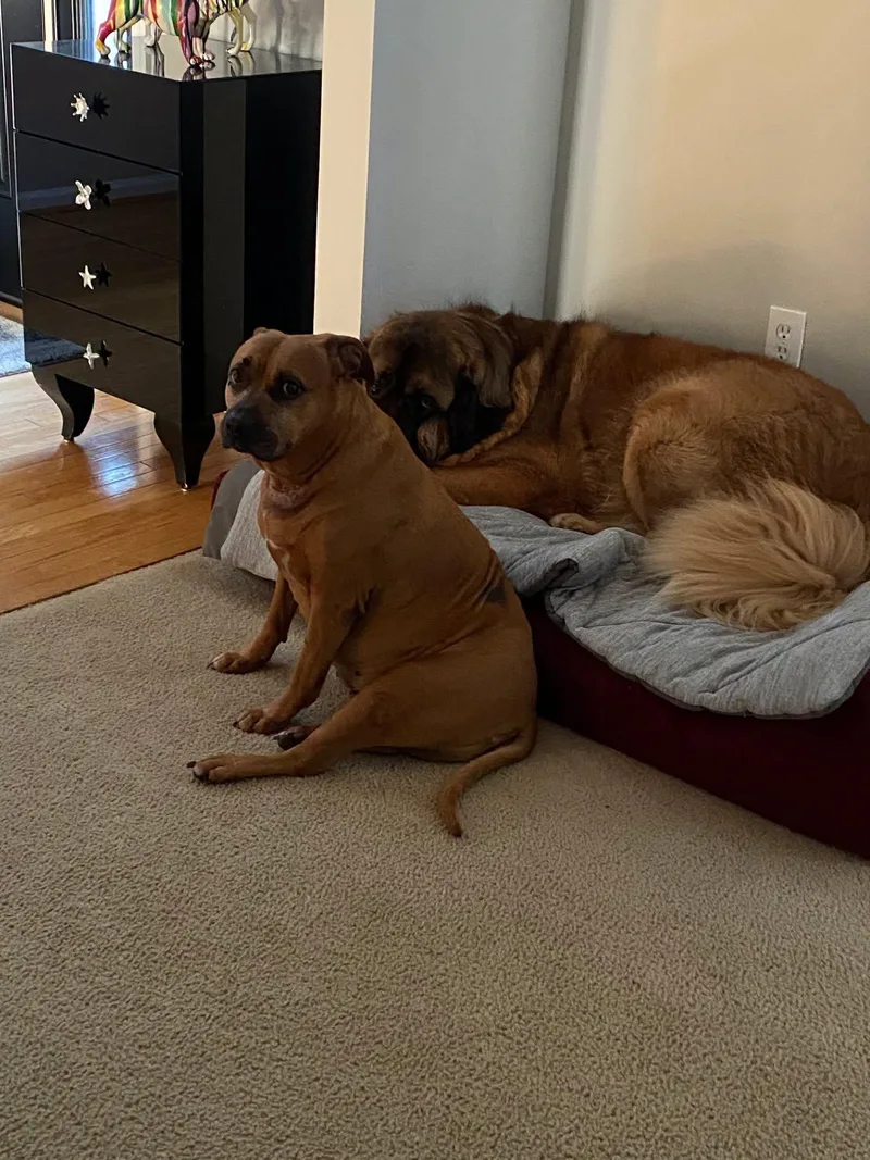 Maddie thumbnail 3
