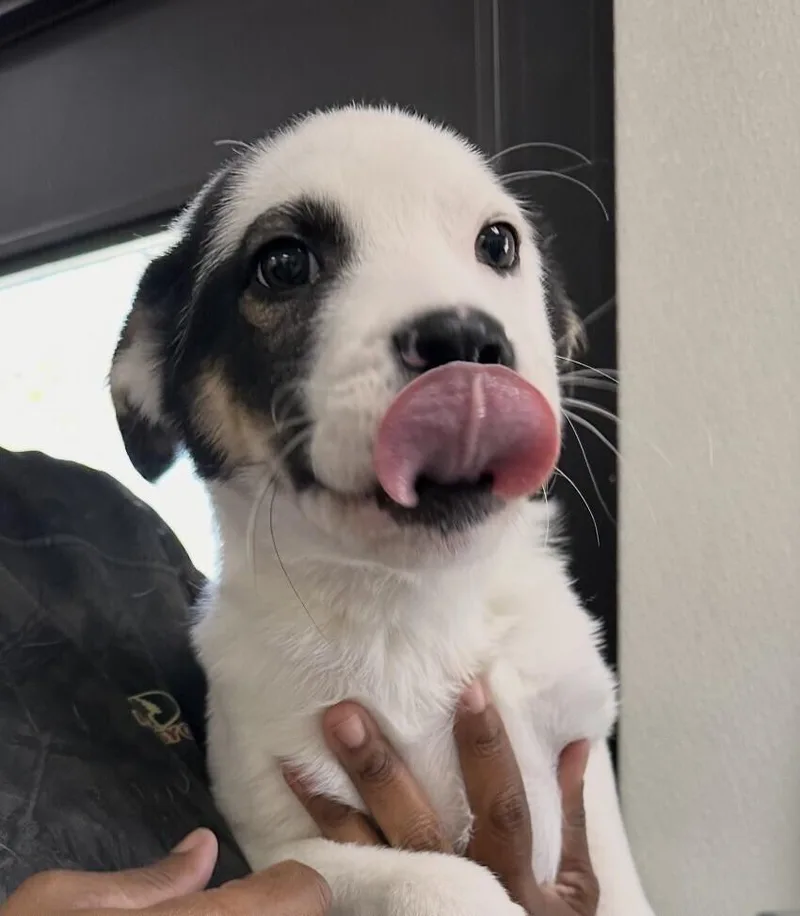 Floyd Allen thumbnail 3