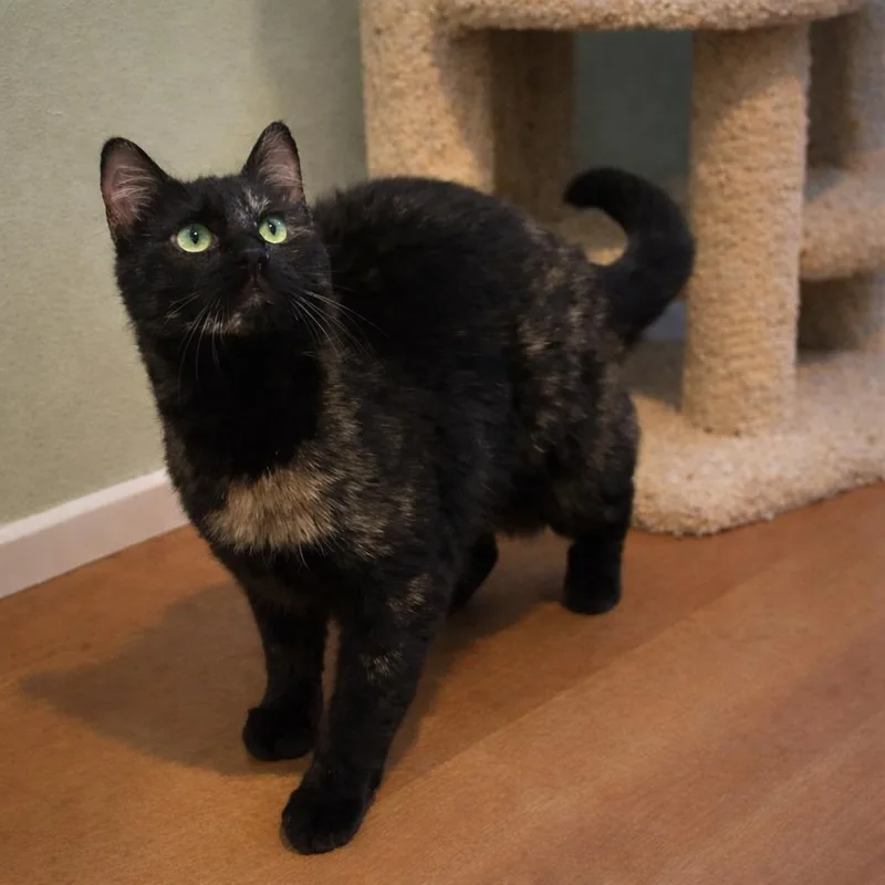 Harlee – Could You thumbnail 6