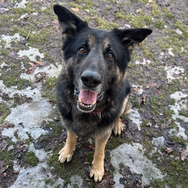 Lazerath thumbnail 2