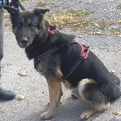 Lazerath thumbnail 3