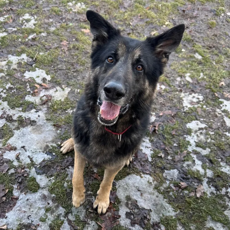 Lazerath thumbnail 4