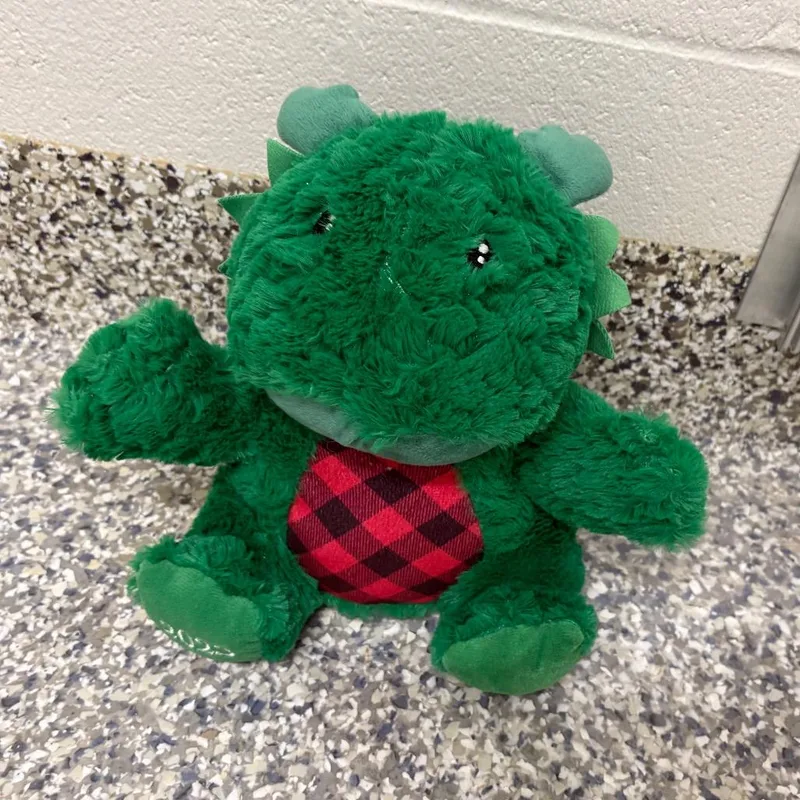 An adult small-sized female White / Cream Australian Cattle Dog / Blue Heeler dog named Dragon  Test for adoption in Morganton, NC