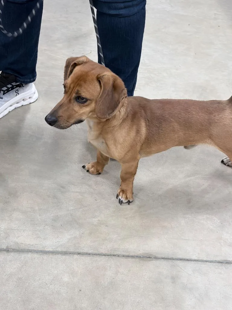 Finnegan thumbnail 2