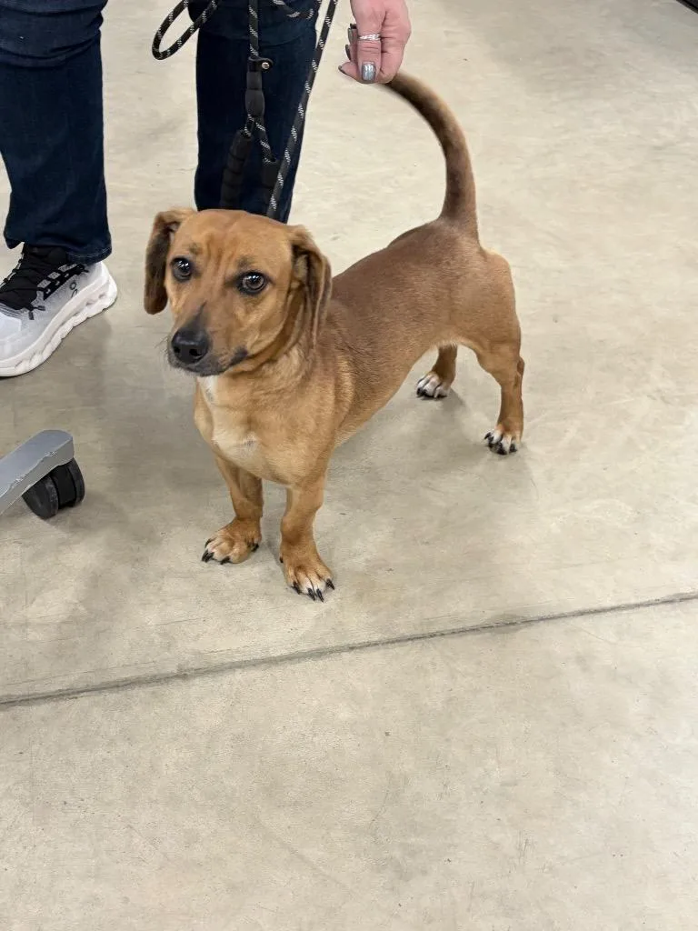 Finnegan thumbnail 3