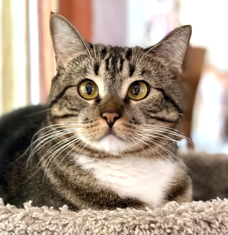 Daisy Mae thumbnail 3