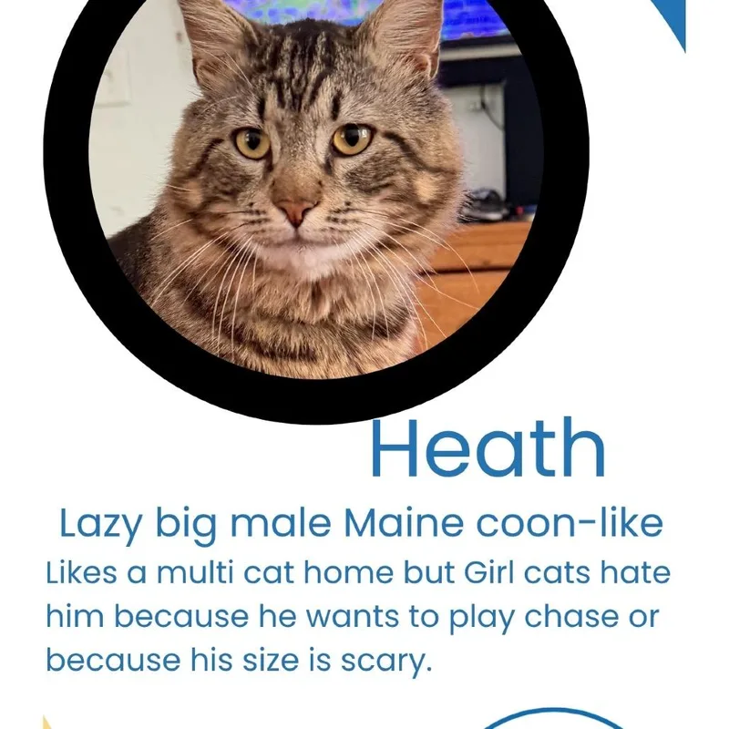 Heath thumbnail 3