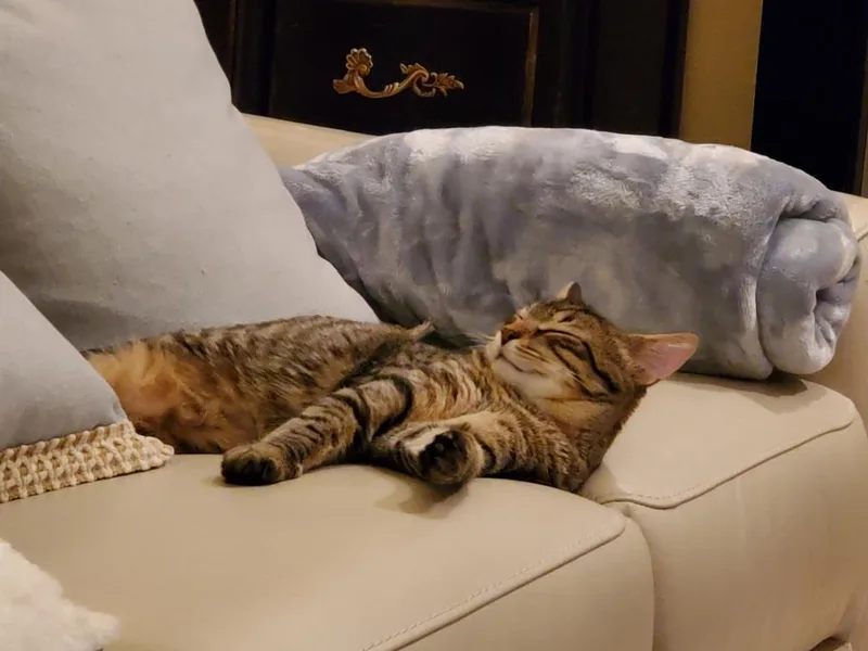 Andy And Amy thumbnail 4