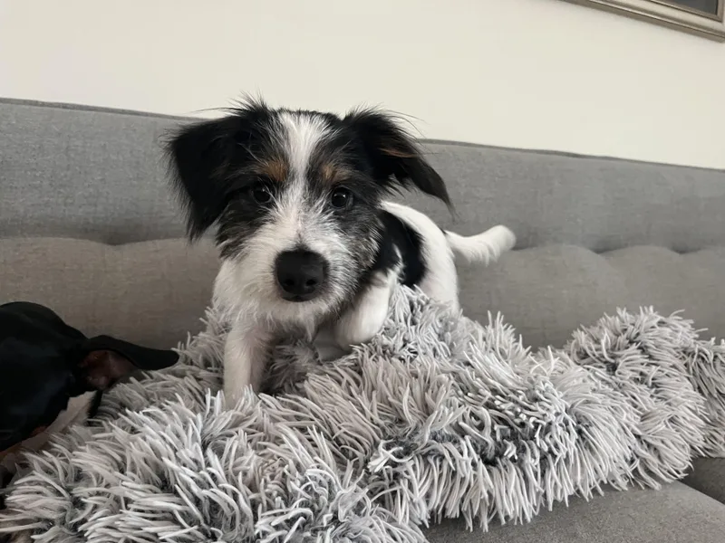 Max