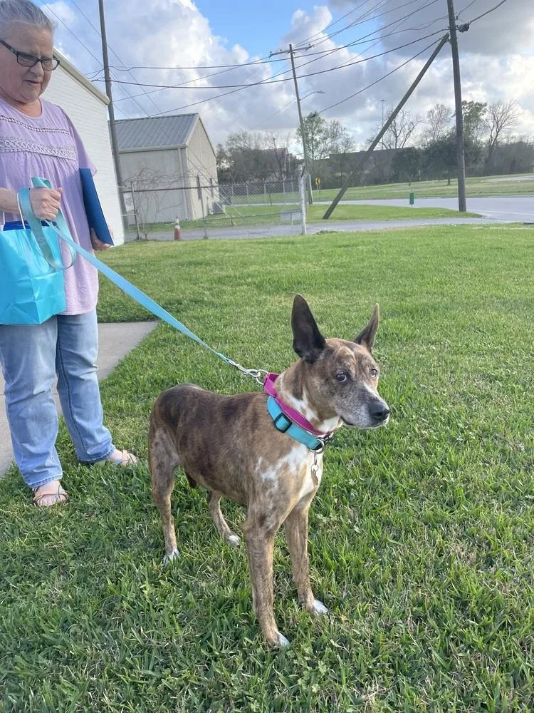 Sarah  A thumbnail 2