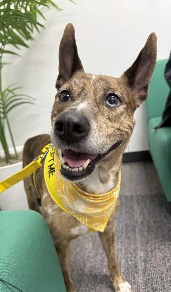 Sarah  A thumbnail 3