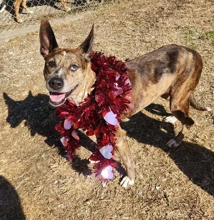 Sarah  A thumbnail 4