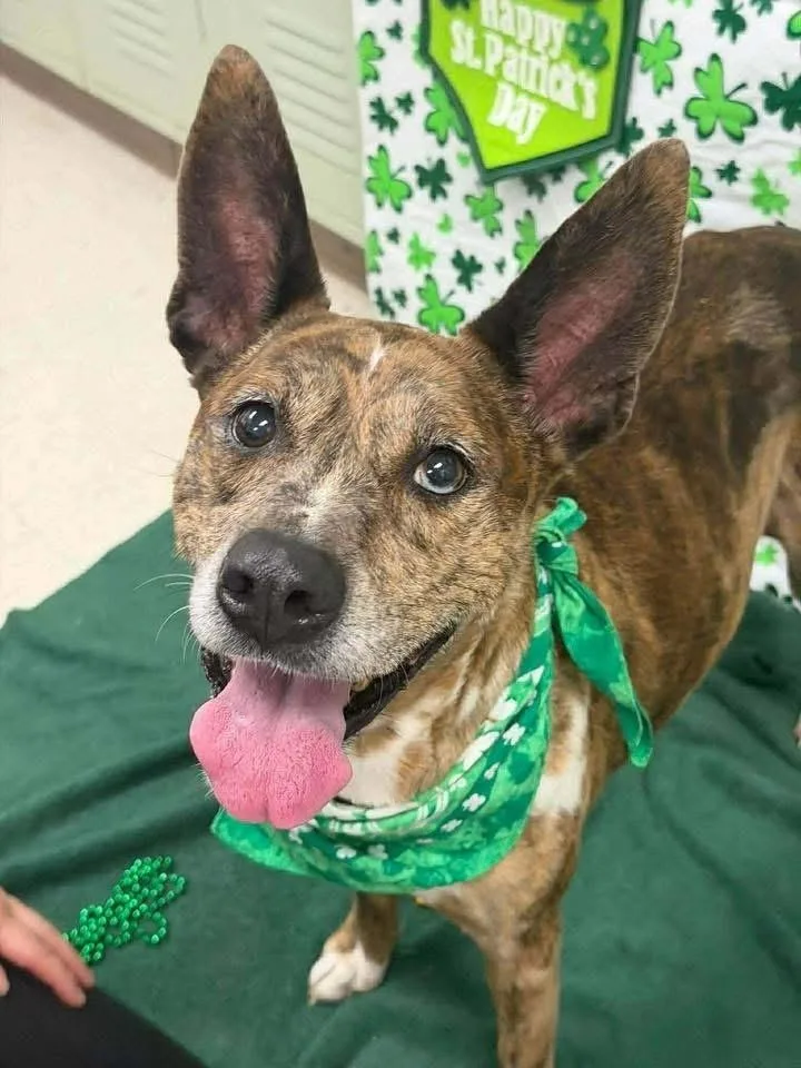 Sarah  A thumbnail 5