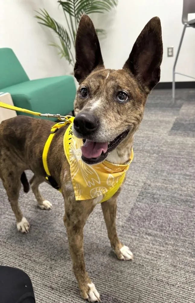 Sarah  A thumbnail 6