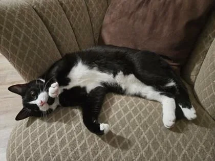 George Weasley thumbnail 2