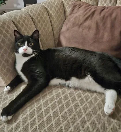 George Weasley thumbnail 4