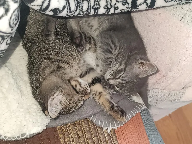 Murphy And Corey thumbnail 3