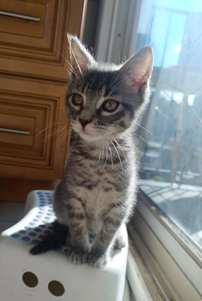 Murphy And Corey thumbnail 6