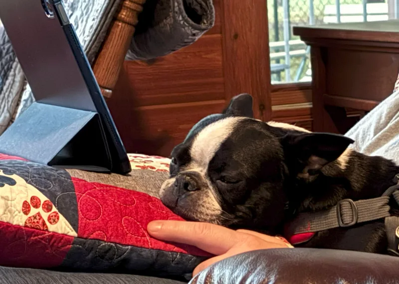 Lucy in ID thumbnail 4