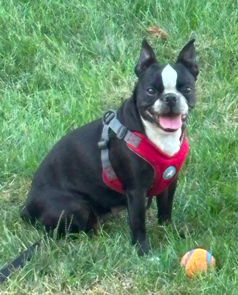 Lucy in ID thumbnail 3