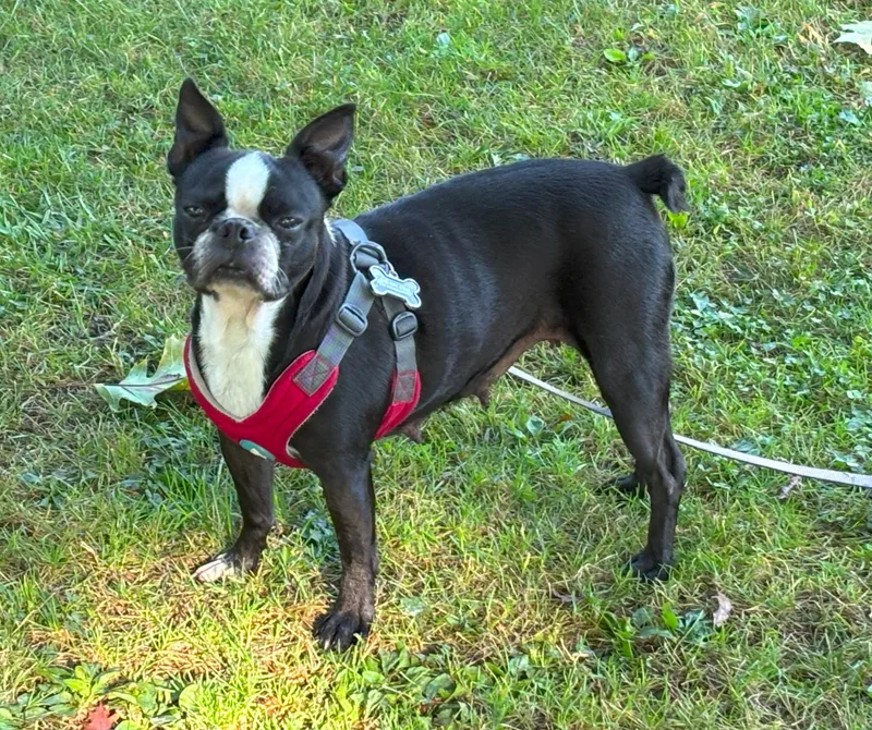 Lucy in ID thumbnail 7