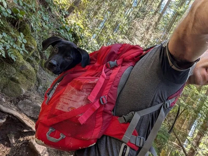Fig Love Pnw Adventure