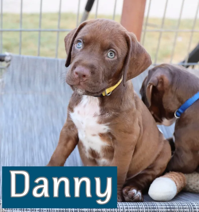 Danny thumbnail 3