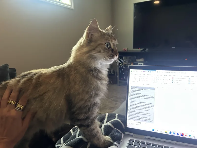 Bonnie