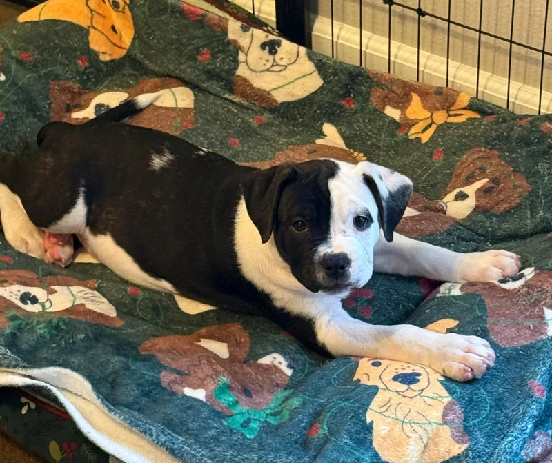 Valentina thumbnail 2