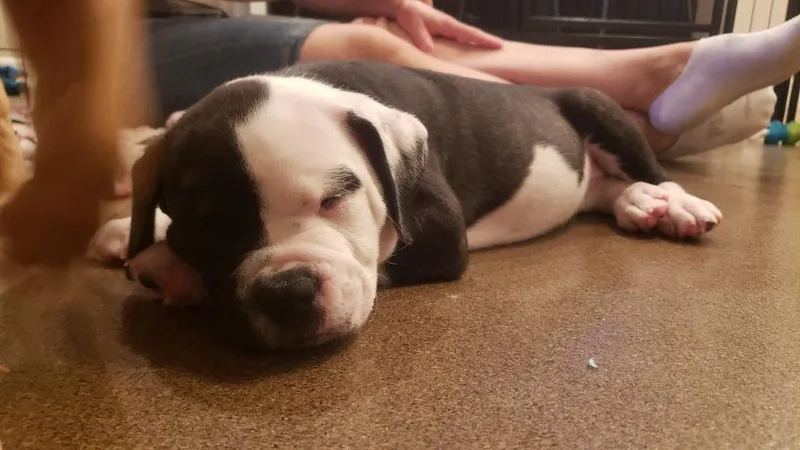 Valentina thumbnail 4