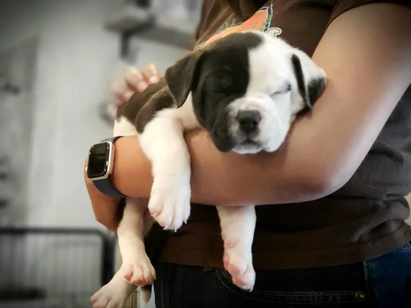 Valentina thumbnail 5