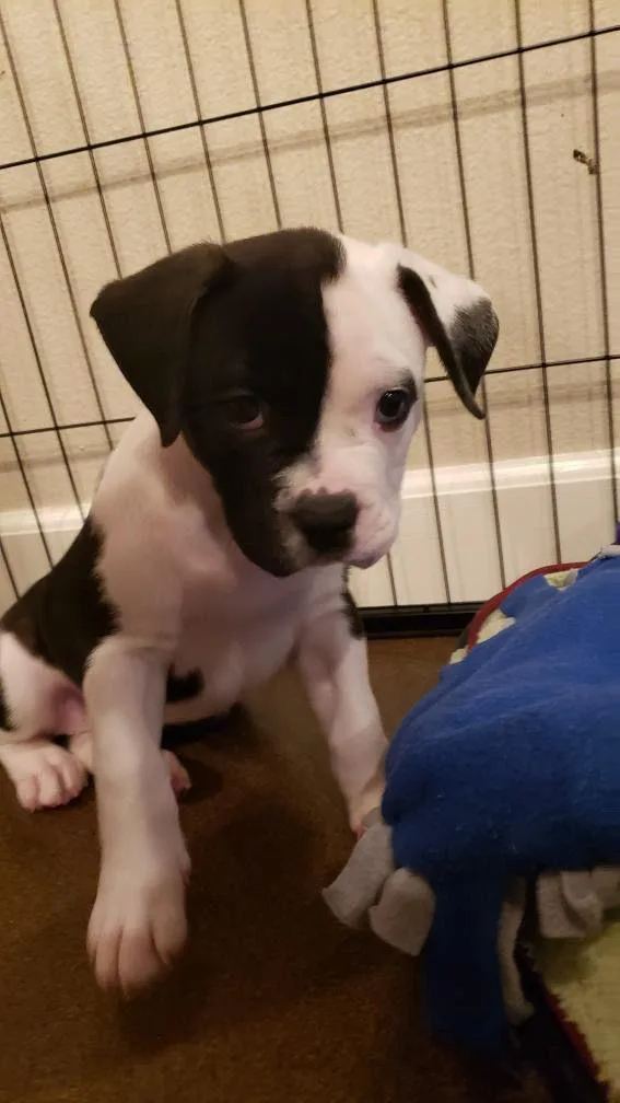 Valentina thumbnail 6