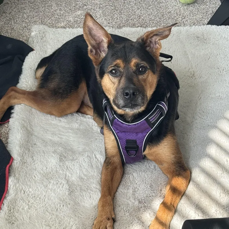 Nala Mae thumbnail 2