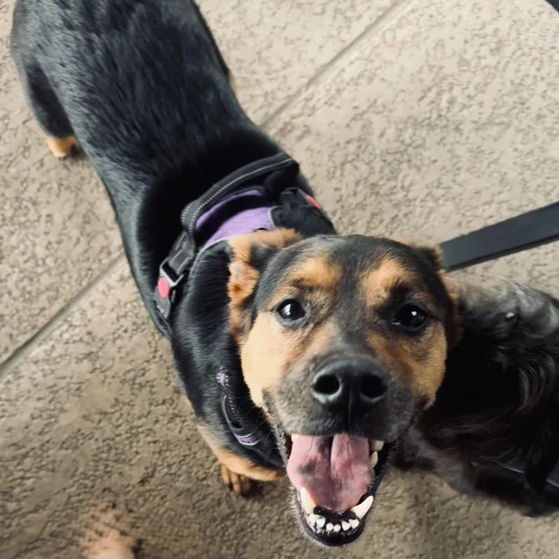 Nala Mae thumbnail 3