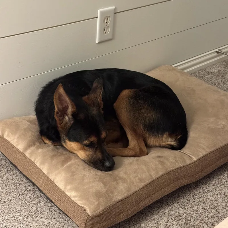 Nala Mae thumbnail 5