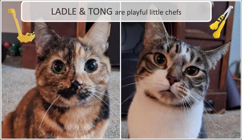 Ladle & Tong