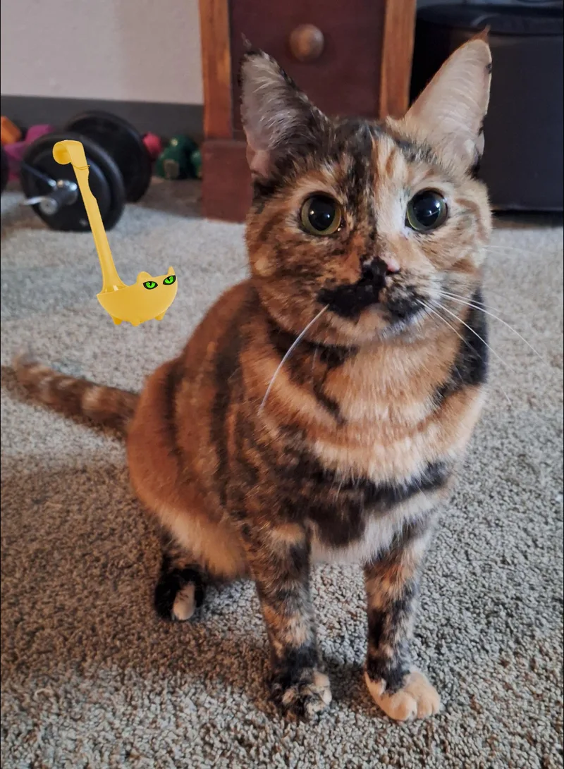 Ladle & Tong thumbnail 4