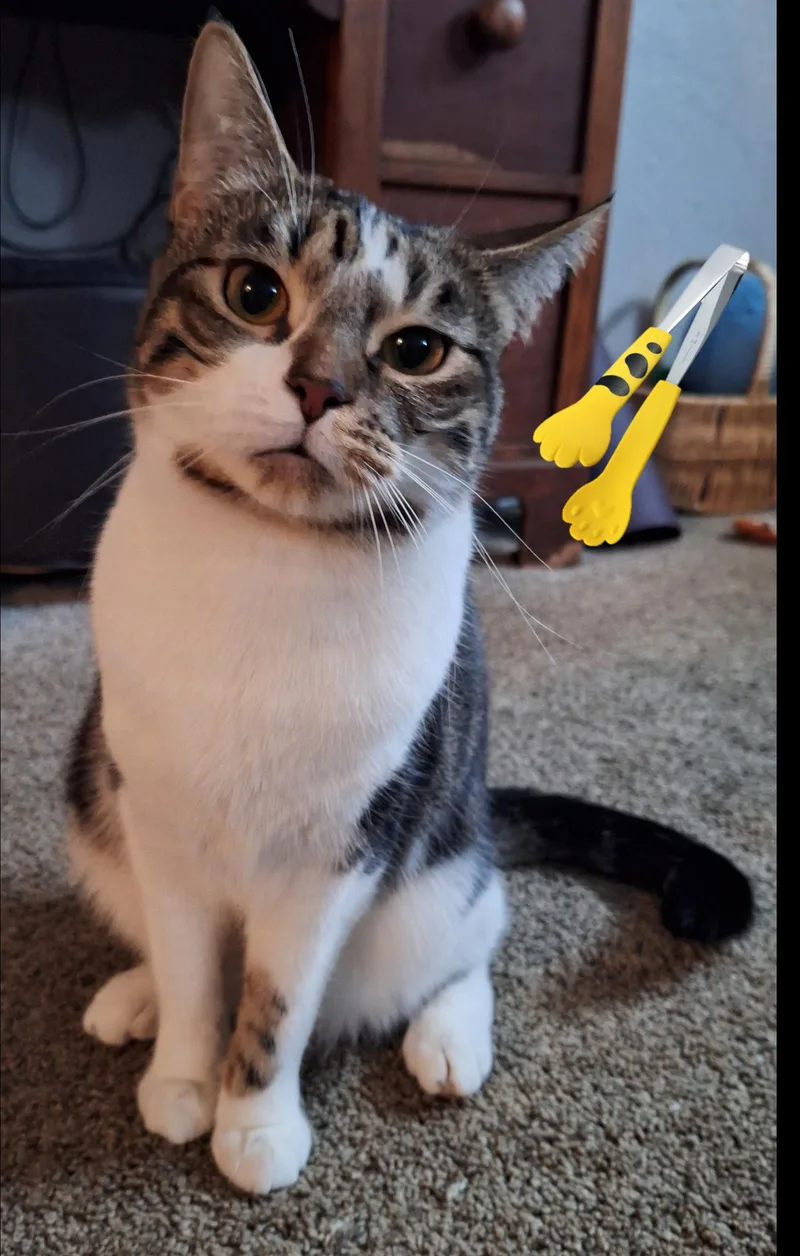 Ladle & Tong thumbnail 5