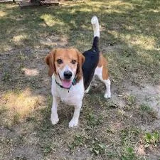 Mary Puppins (Test Pet) thumbnail 3