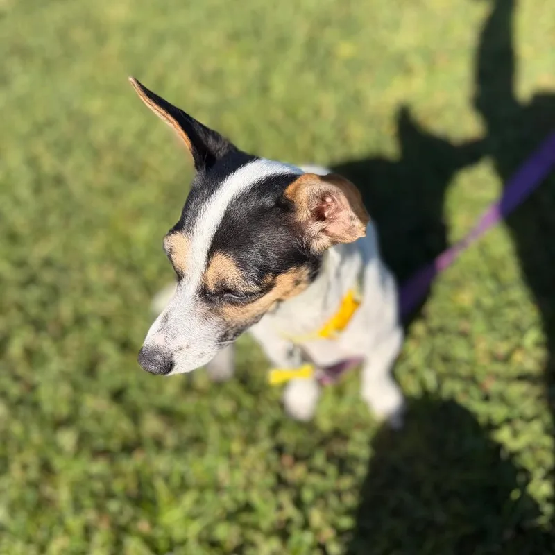 Penelope Aka Cheeks thumbnail 5