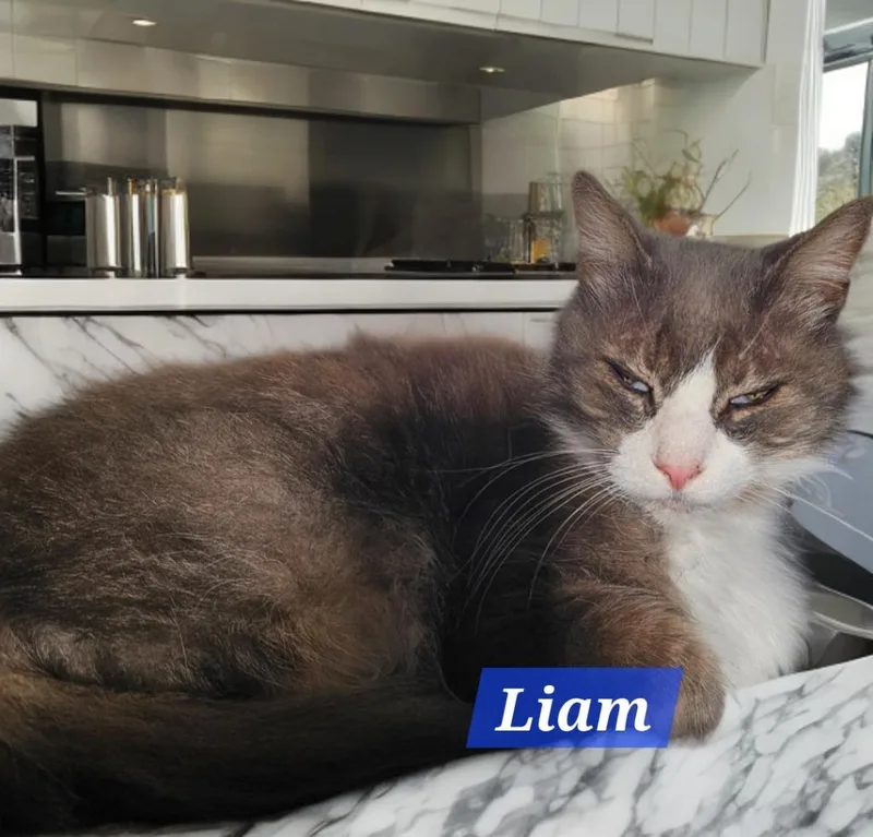 Liam thumbnail 2
