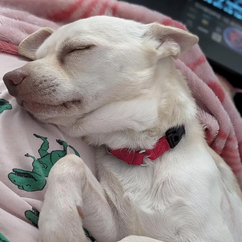Crouton thumbnail 6