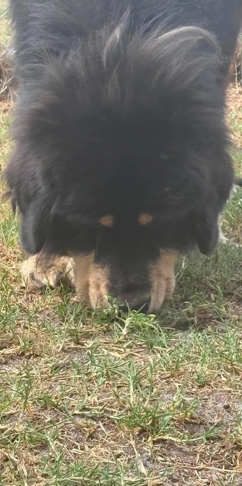 Kuma thumbnail 3