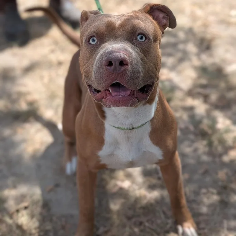 Billy